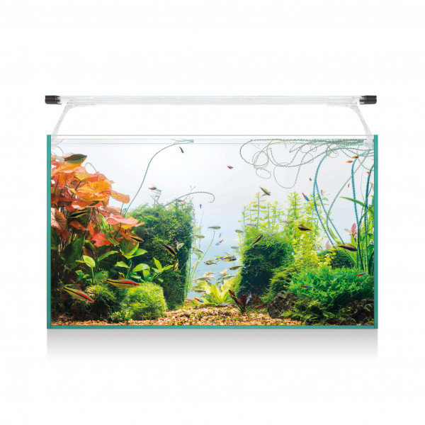 Kit AQUA LIGHT Glass 60 (52 l) ICA