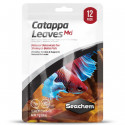 Fulles de Catappa medium. Pack 12 unit. Seachem