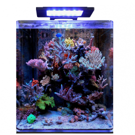 BM REEF 60 AQUARIUM Blue Marine