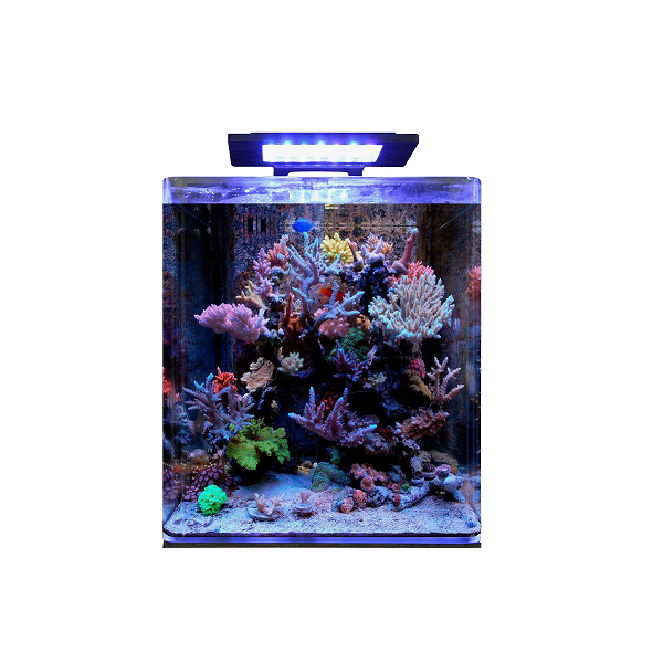 BM REEF 60 AQUARIUM Blue Marine