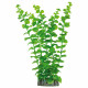 Bacopa australis de AQUATIC PLANTS 28cm