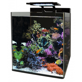 BM REEF 90 AQUARIUM Blue Marine