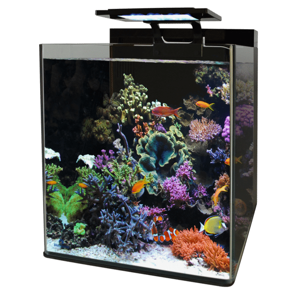 BM REEF 90 AQUARIUM