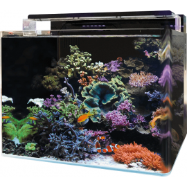 BM REEF 120 AQUARIUM Blue Marine