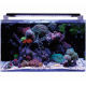 BM REEF 160 AQUARIUM Blue Marine