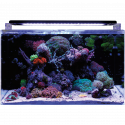 BM REEF 160 AQUARIUM Blue Marine