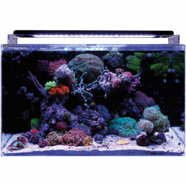 BM REEF 160 AQUARIUM Blue Marine