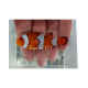 AMPHIPRION OCELLARIS 3-4CM BSF