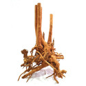 Rainforest wood 100G