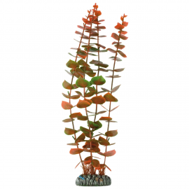 Alternanthera de AQUATIC PLANTS (PLASTIC) (39 cm)