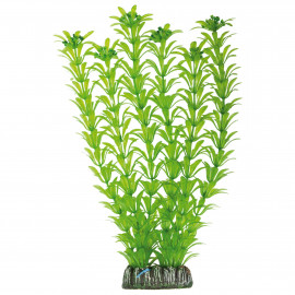 Elodea de AQUATIC PLANTS (PLÁSTICO) (29 cm)