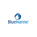 Blue Marine